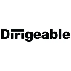Dirigeable Services conseils Inc.